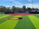 Campbell University Softball