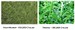 Astroturf Trionic Plus Brochure Cover
