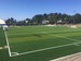 Negoesco Field during the Infilling Process